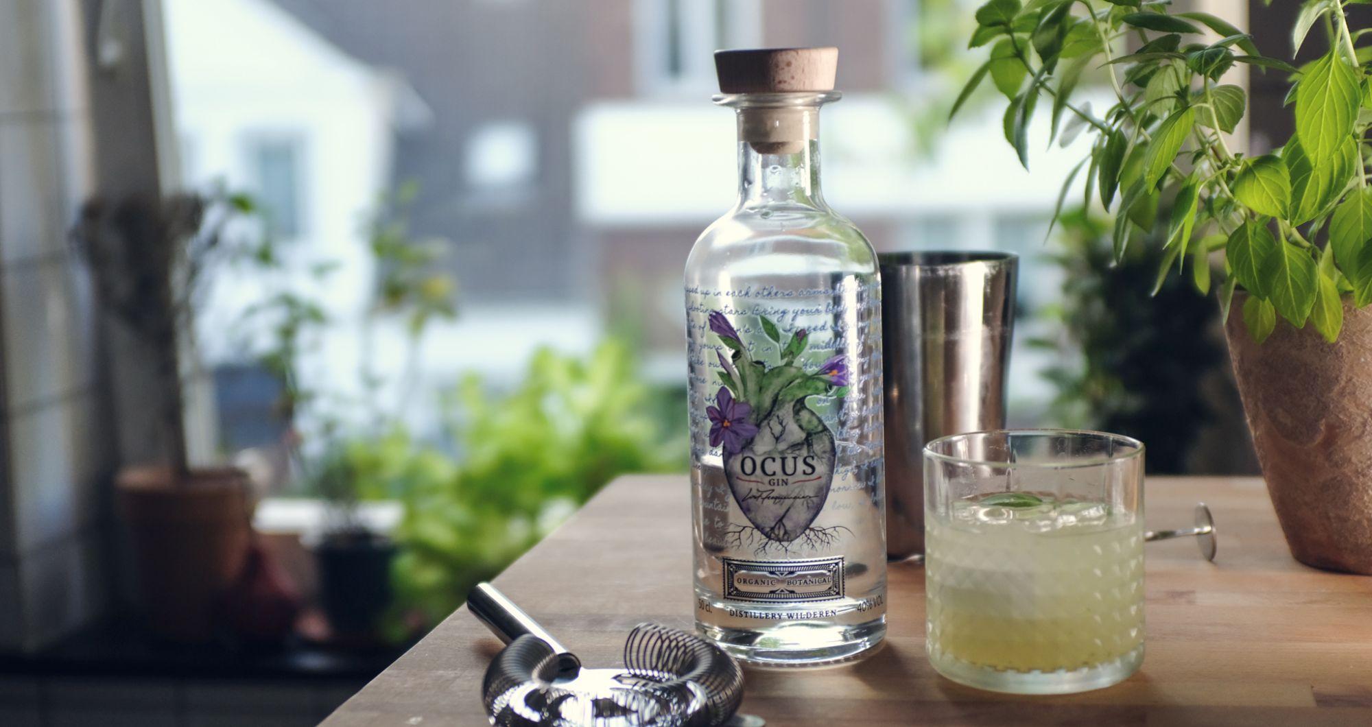 Frischer Ocus Gin in kristallklarem Glas, umgeben von Zimtstangen, Nelken und Lavendelblüten. Die perfekte Kombination für ein atemberaubendes Gin-Tasting-Erlebnis.